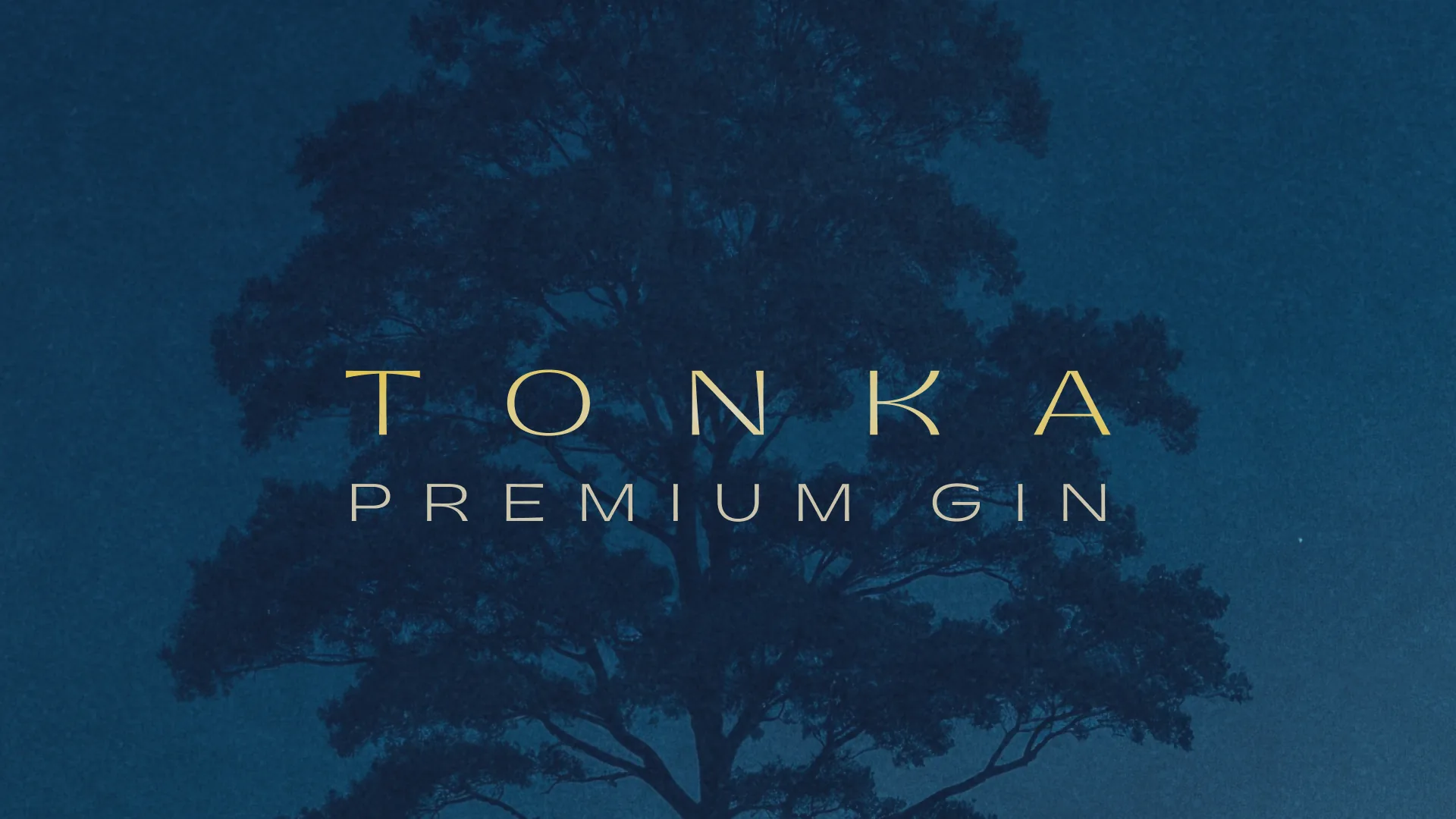 Tonka — system detail