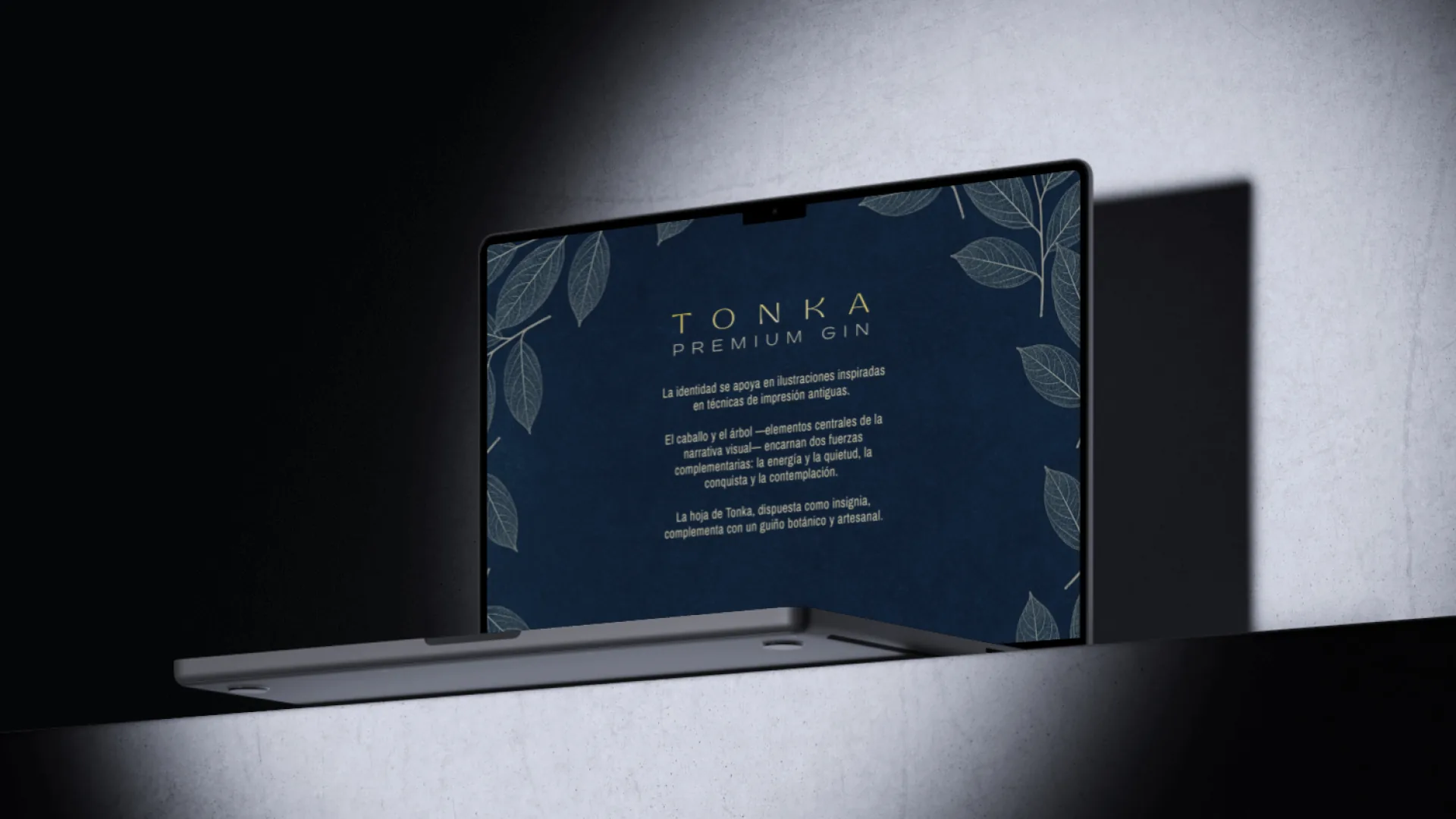 Tonka — palette detail